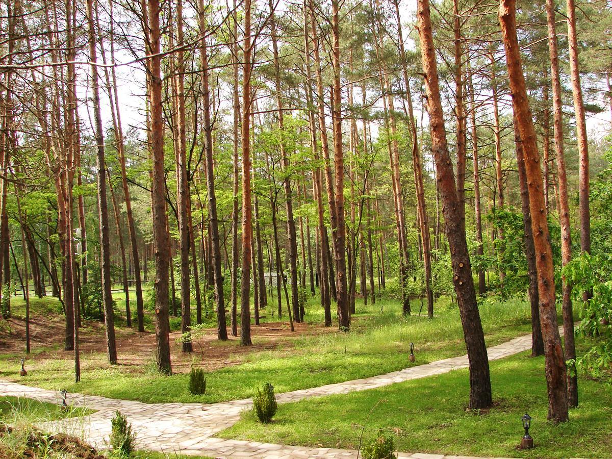 Hotel Pershyi Kordon Tourist Complex Medvedevka Exteriér fotografie